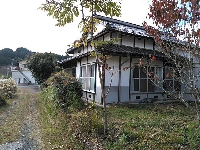 View 8