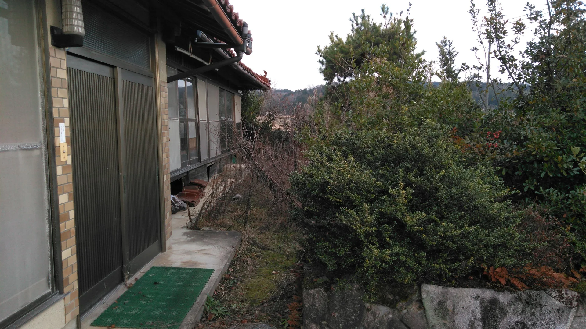 View 4