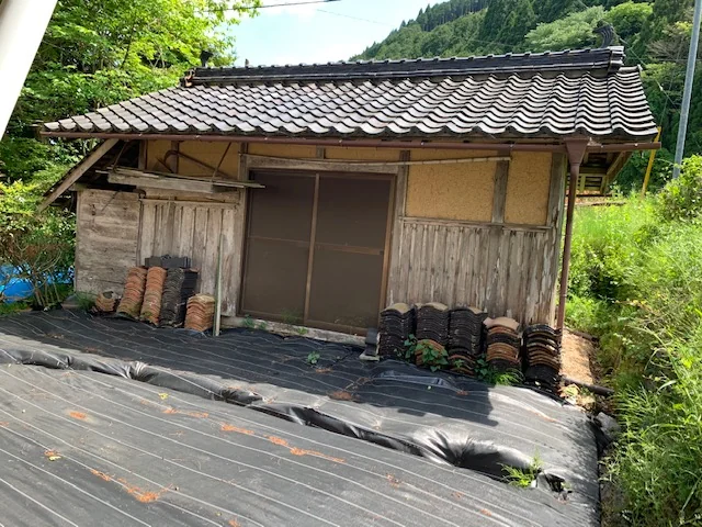 View 14