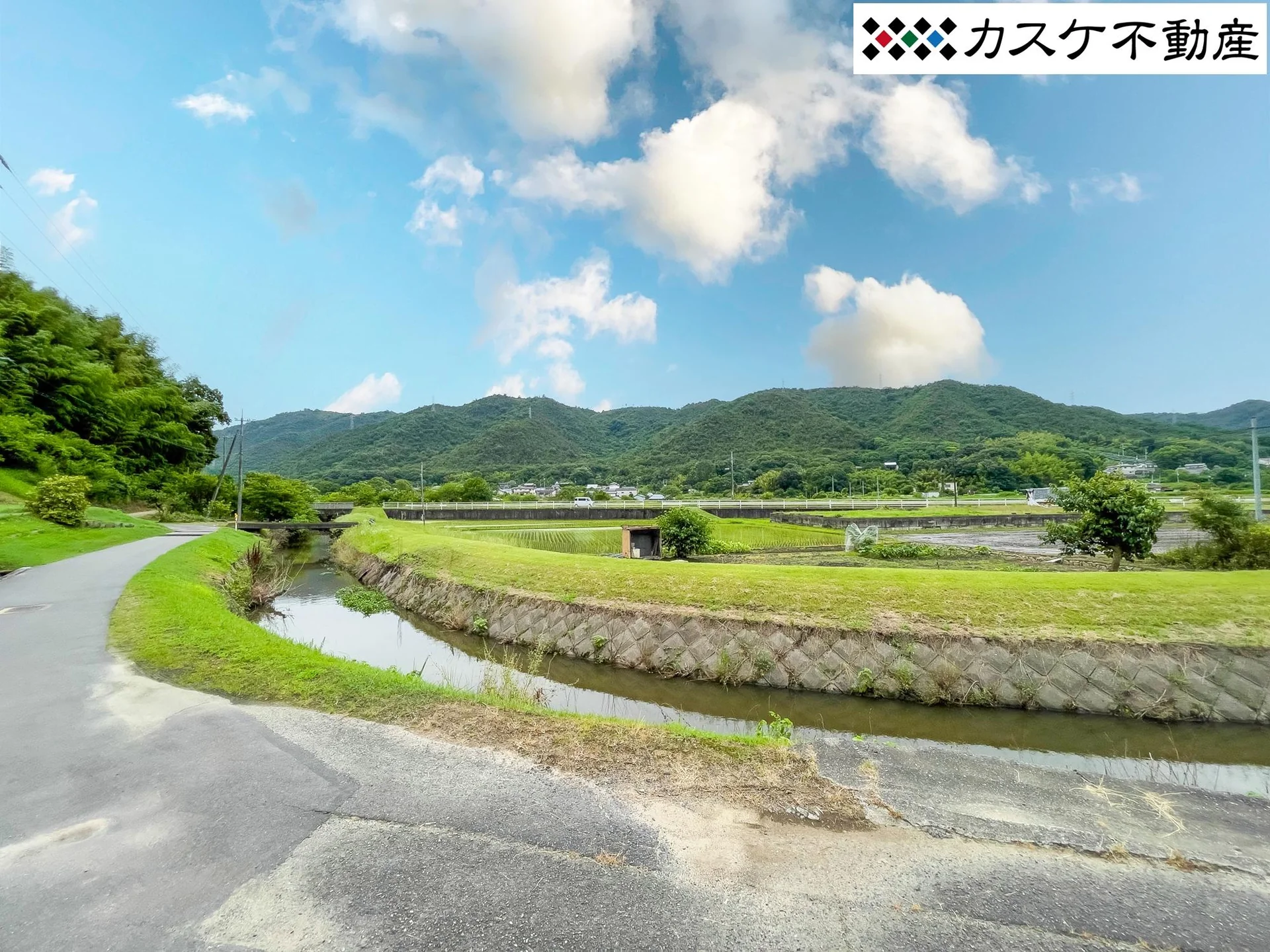View 21