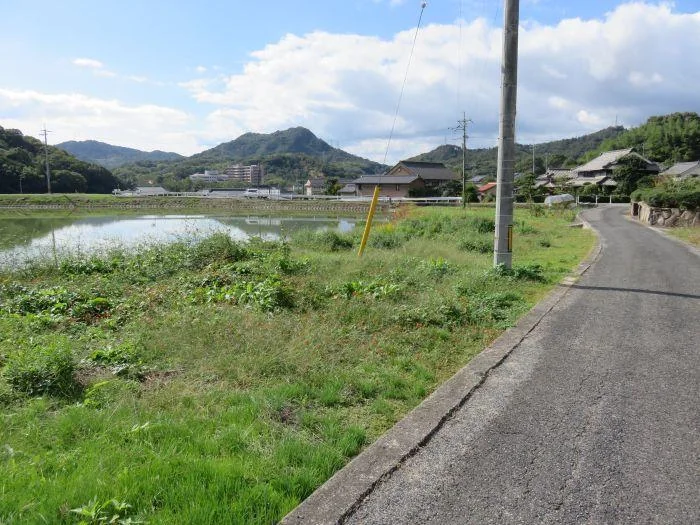 View 29