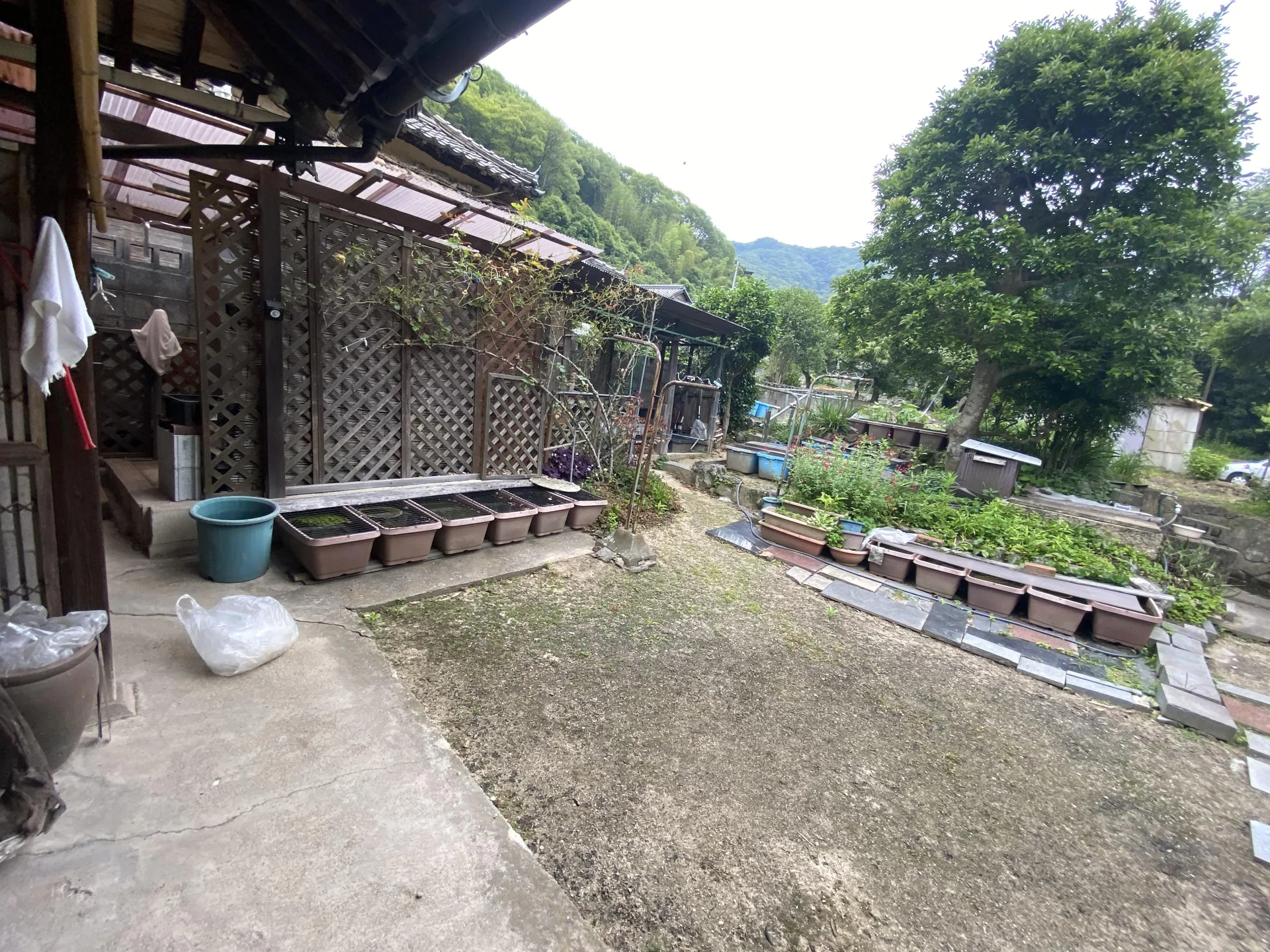 View 14