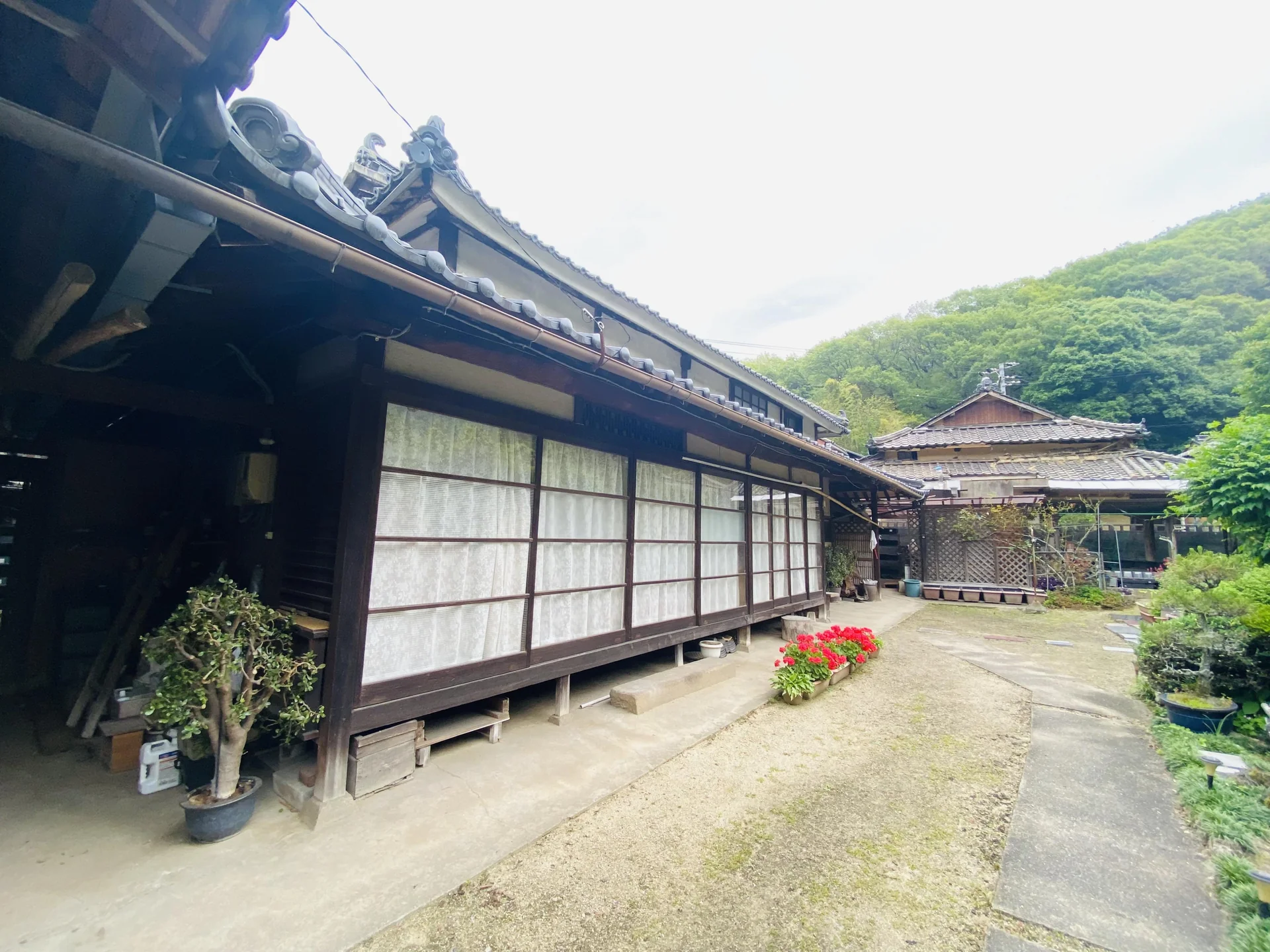 View 18