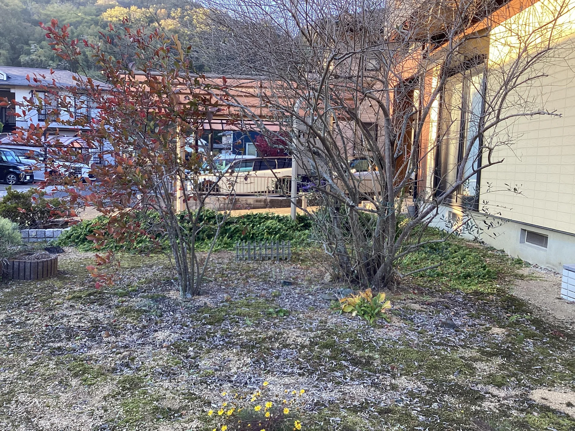View 16