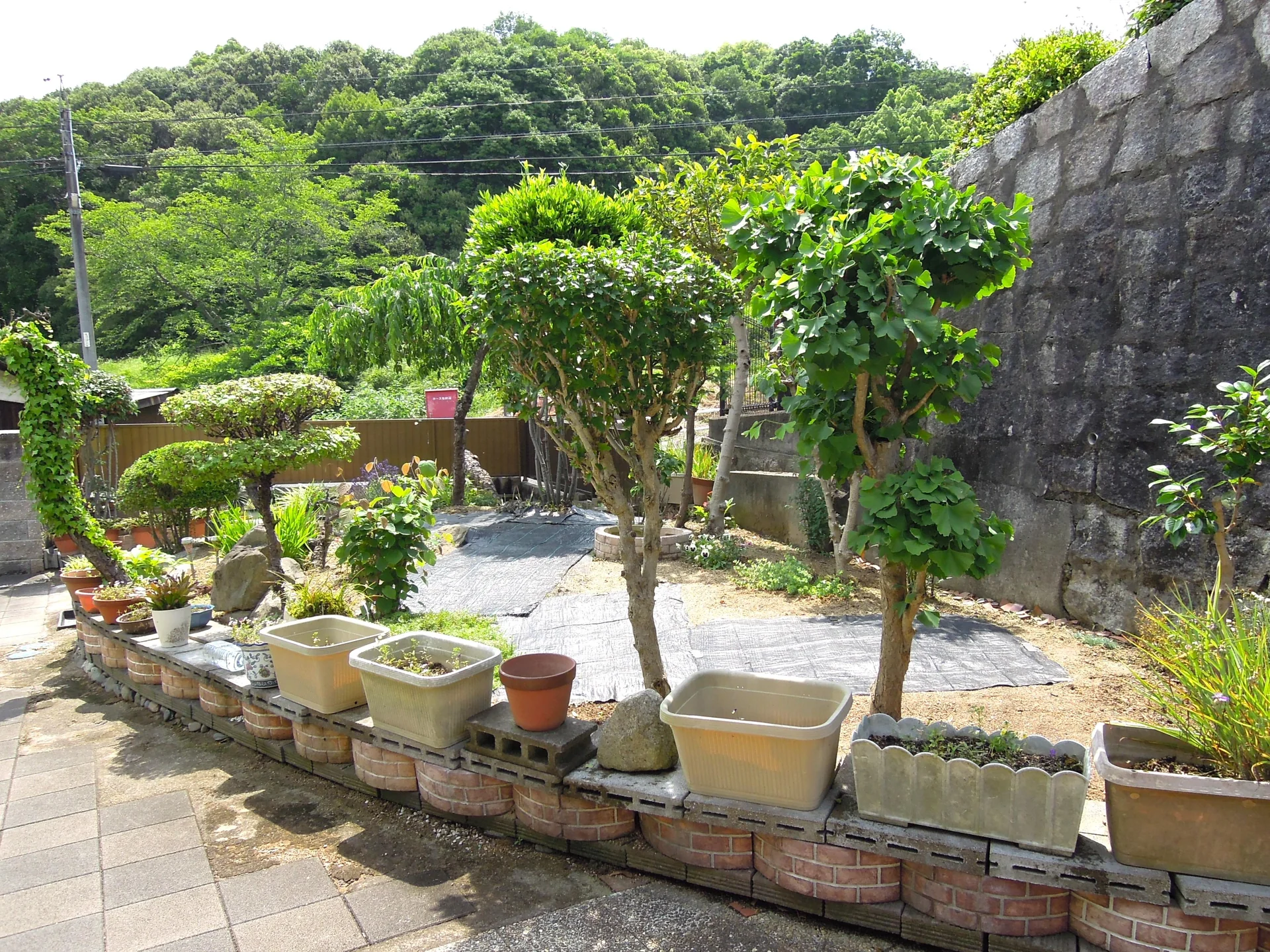 View 17