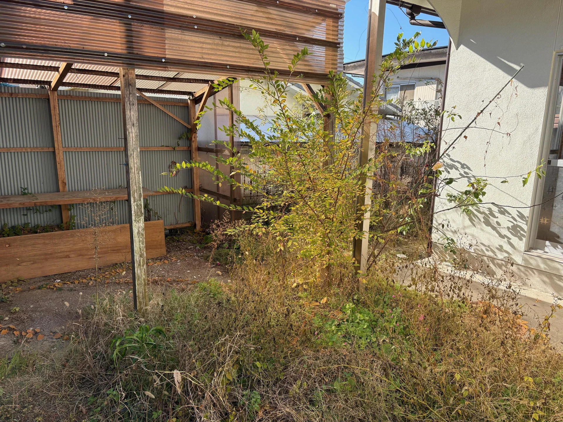 View 12