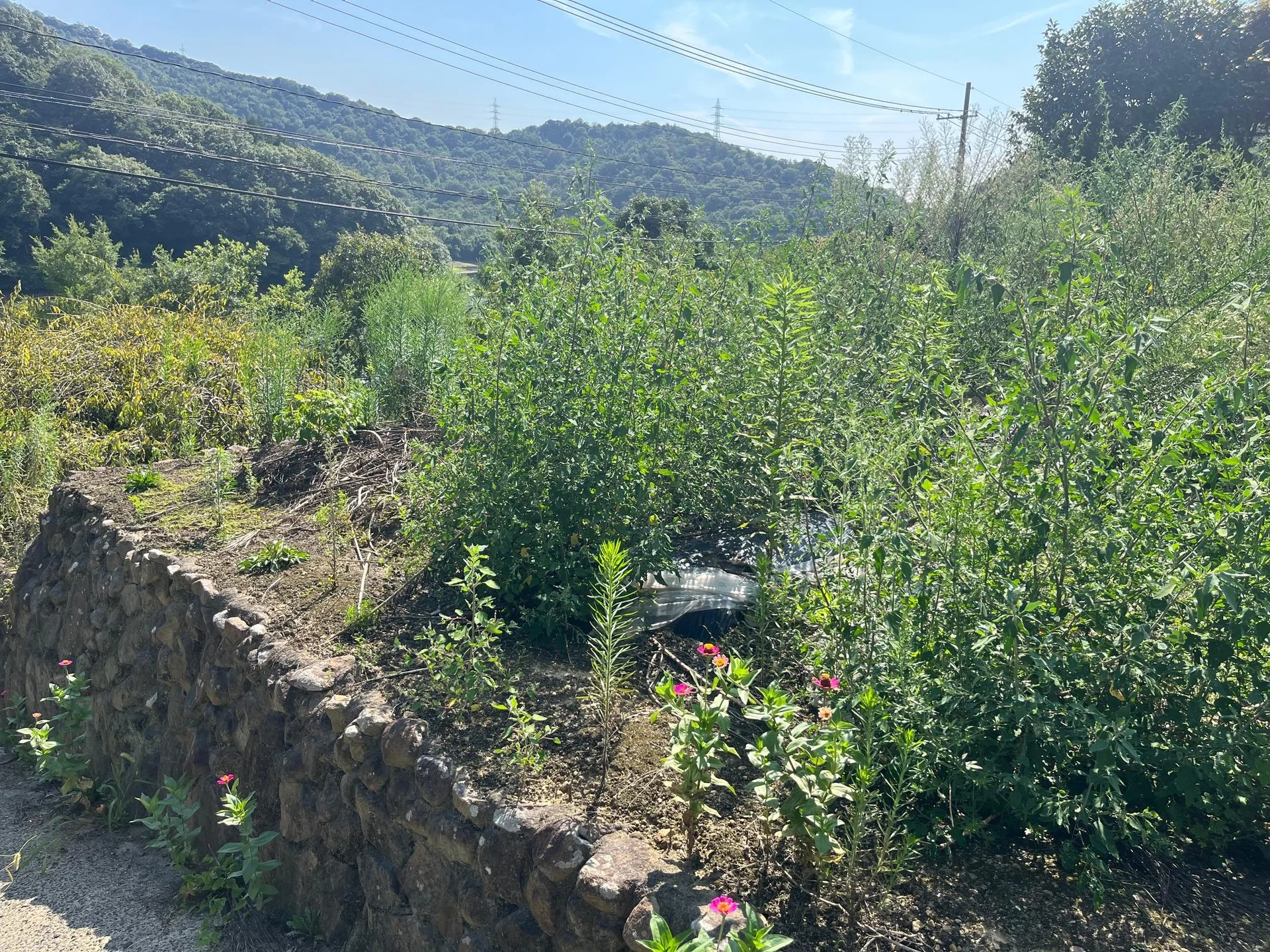 View 13