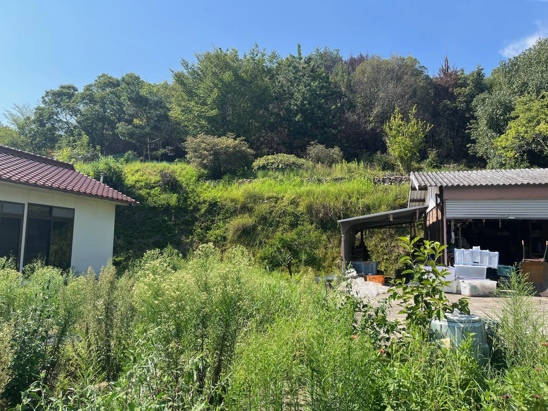 View 15