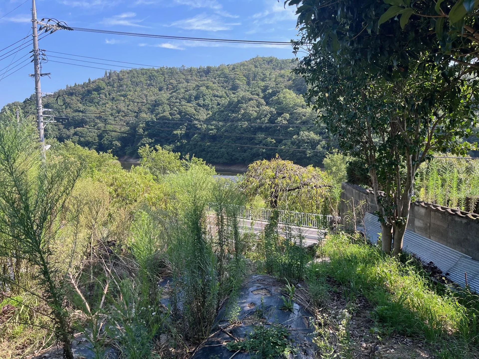 View 7