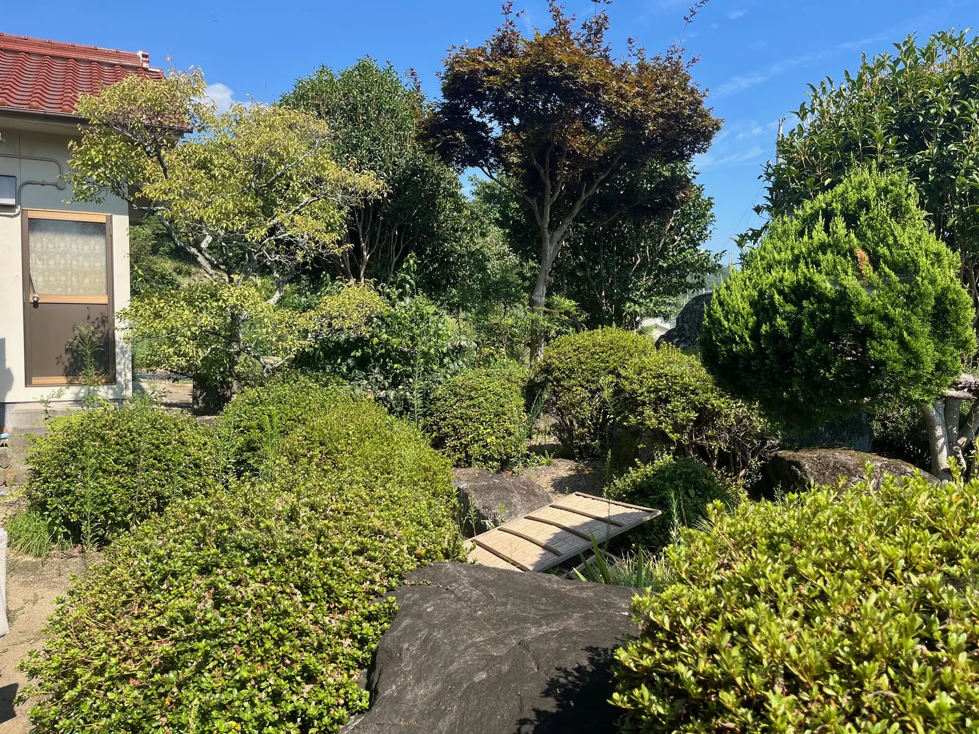 View 8