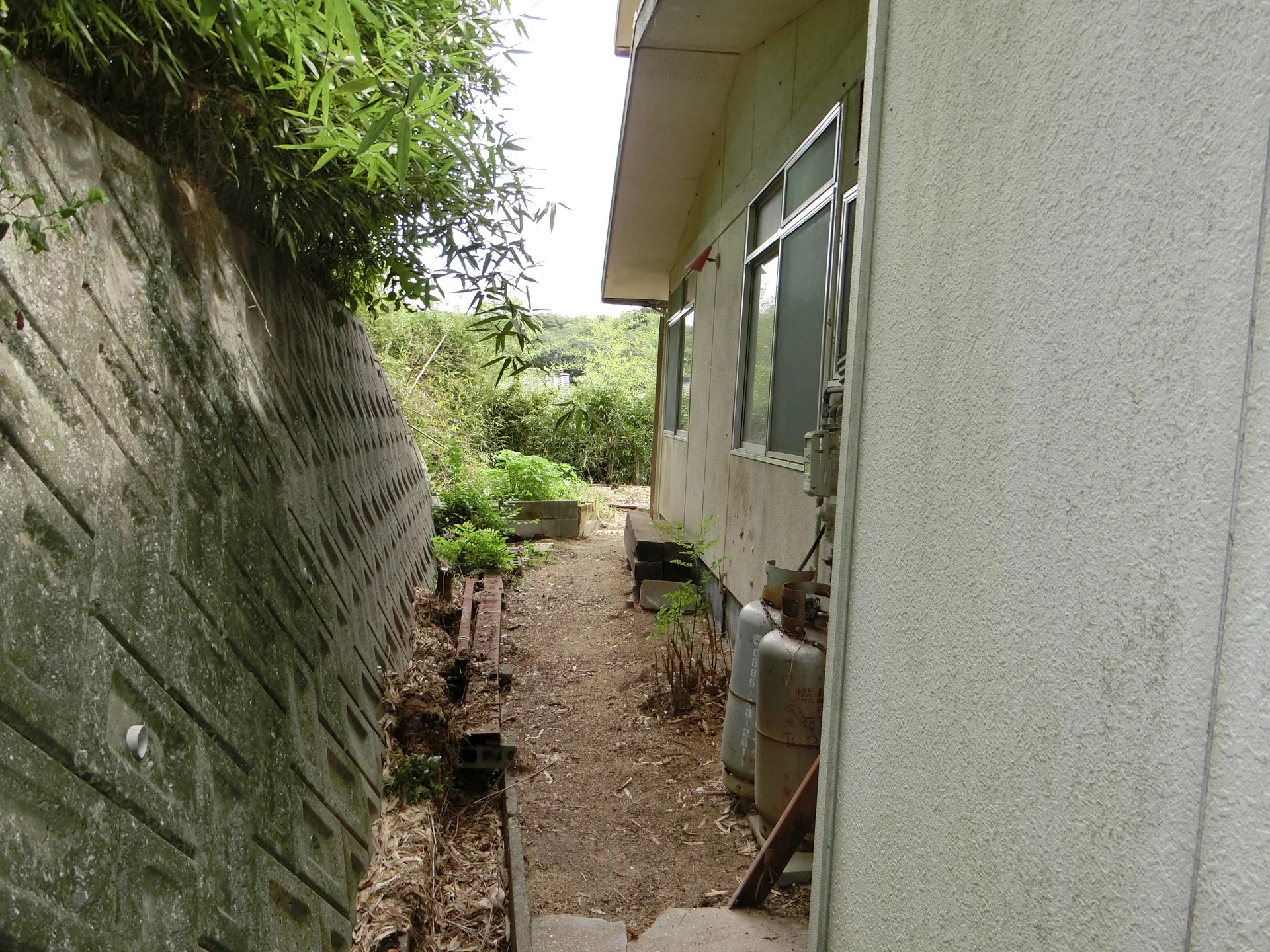 View 8