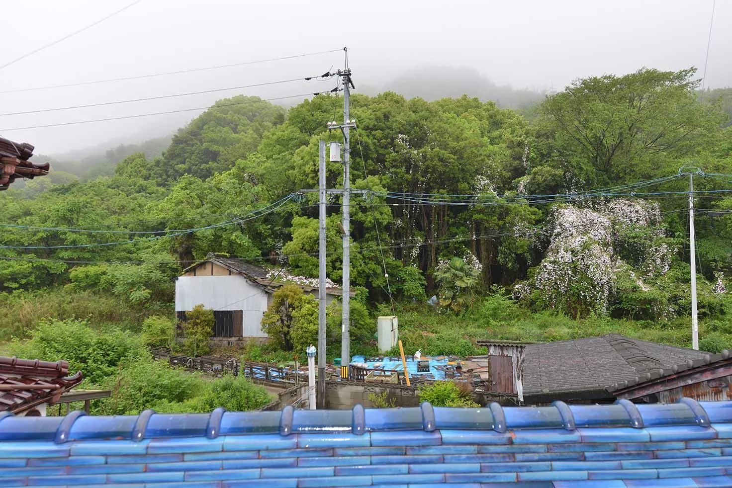 View 18