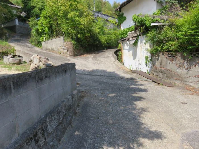View 14