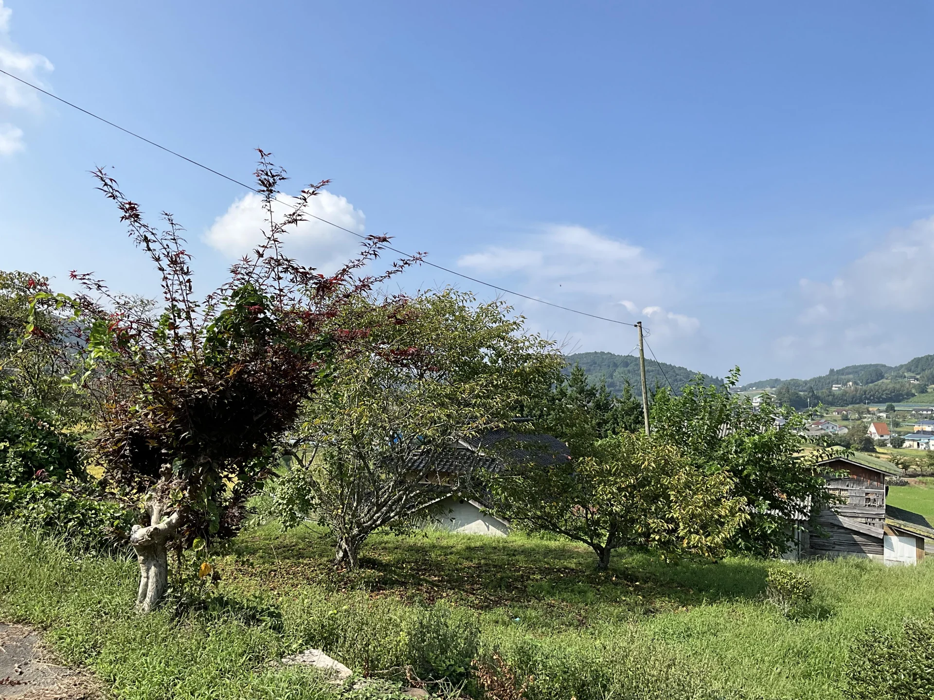 View 16