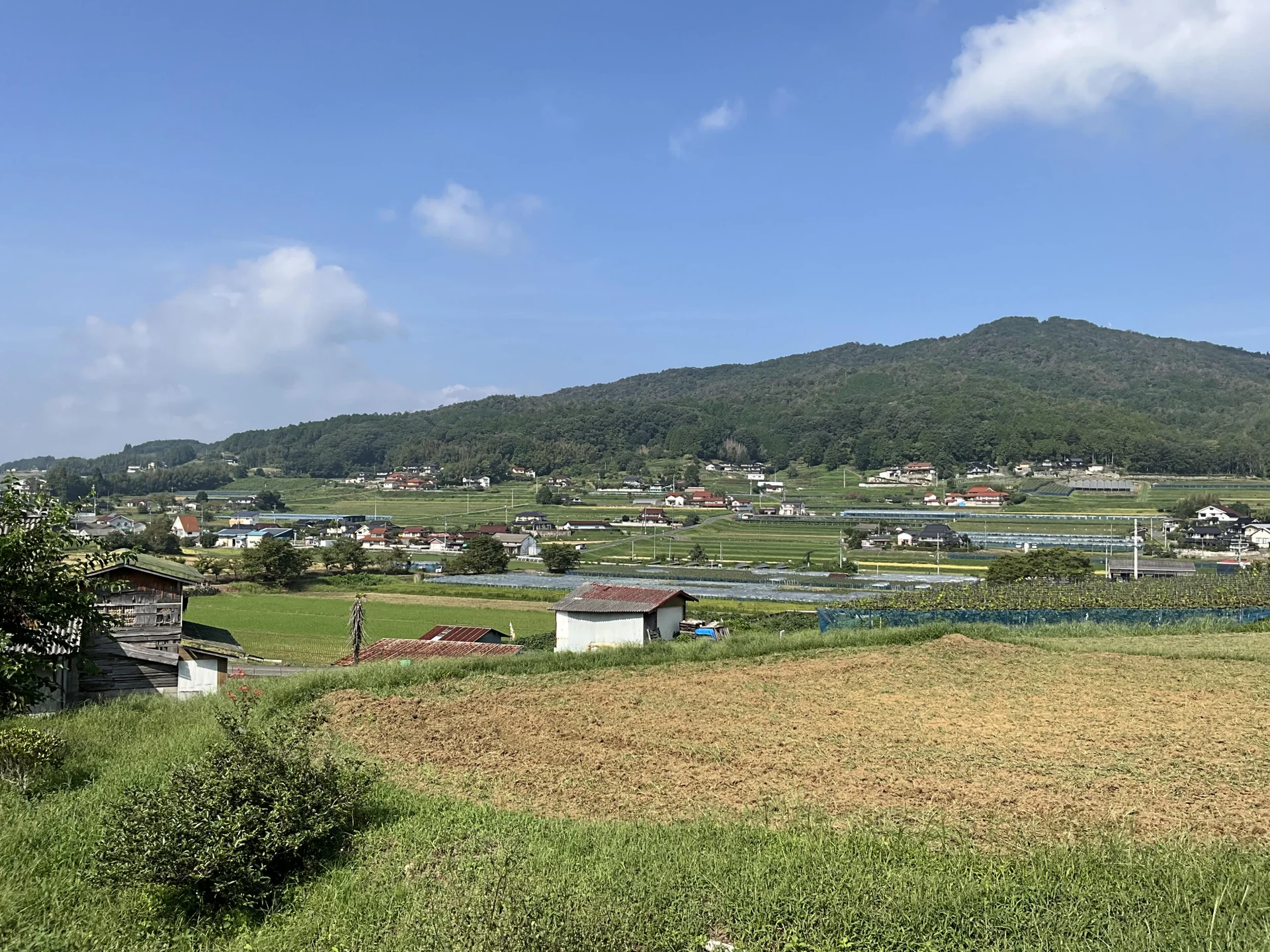 View 17