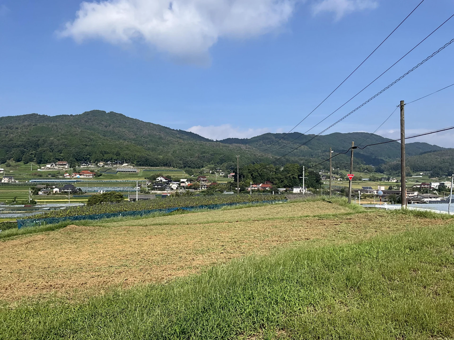 View 18