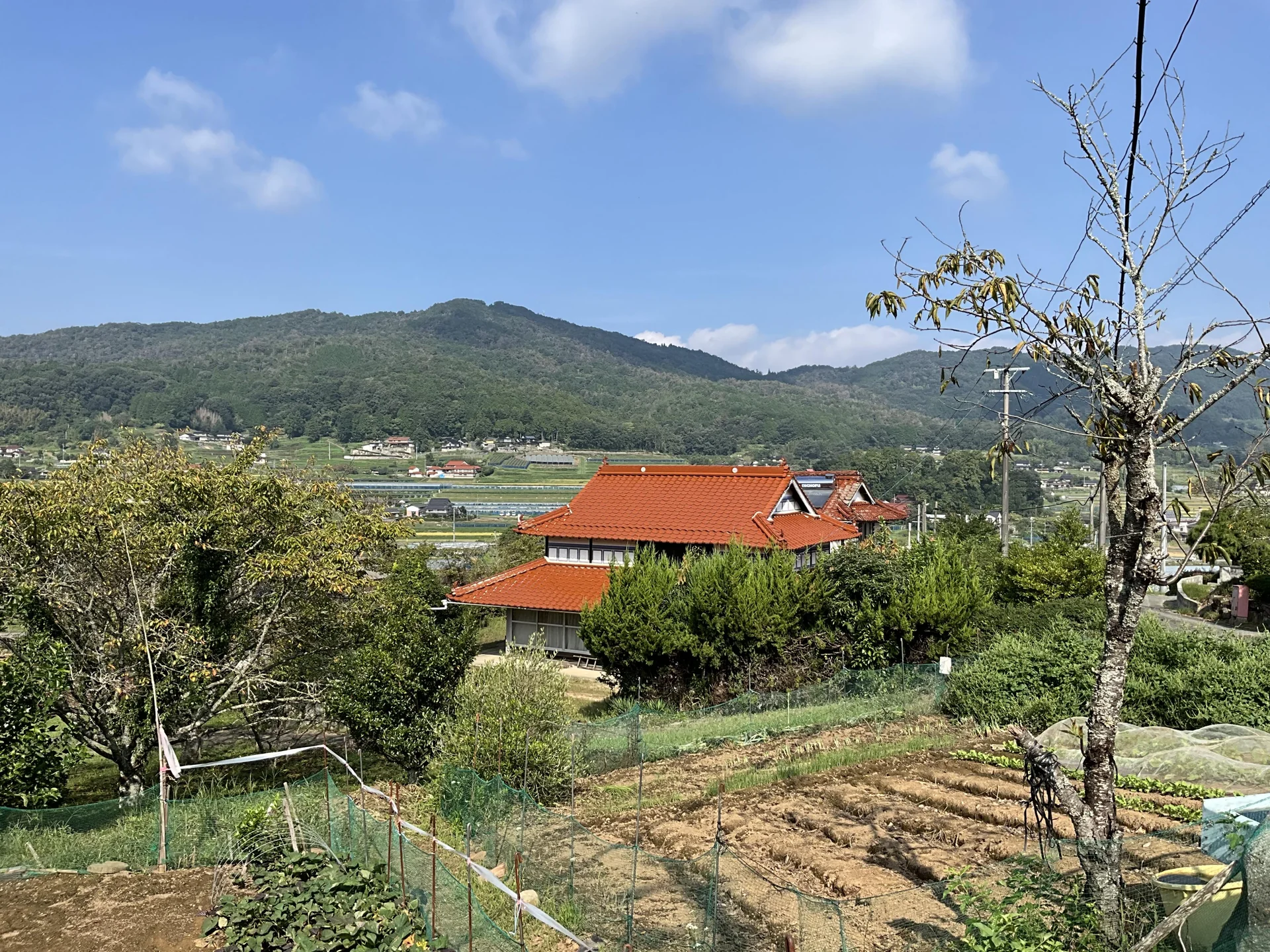 View 2