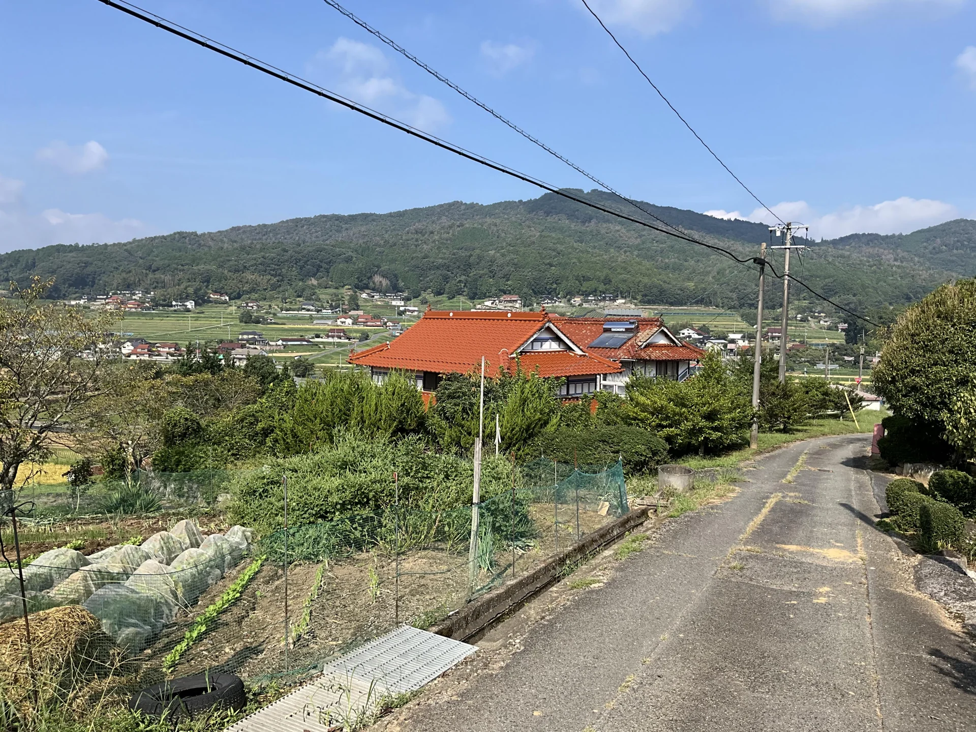 View 3