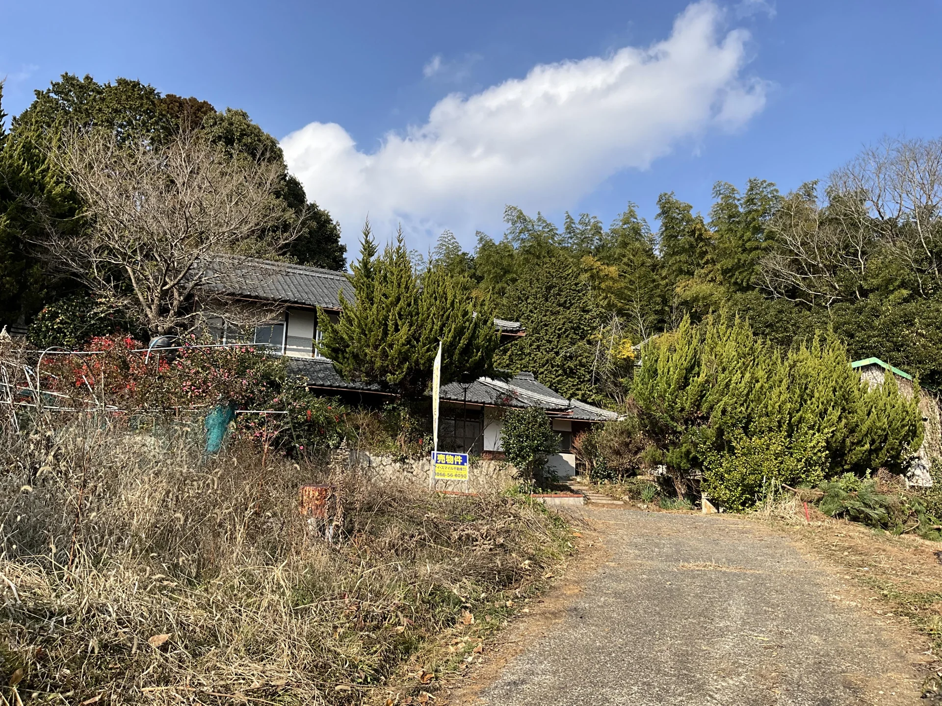 View 8