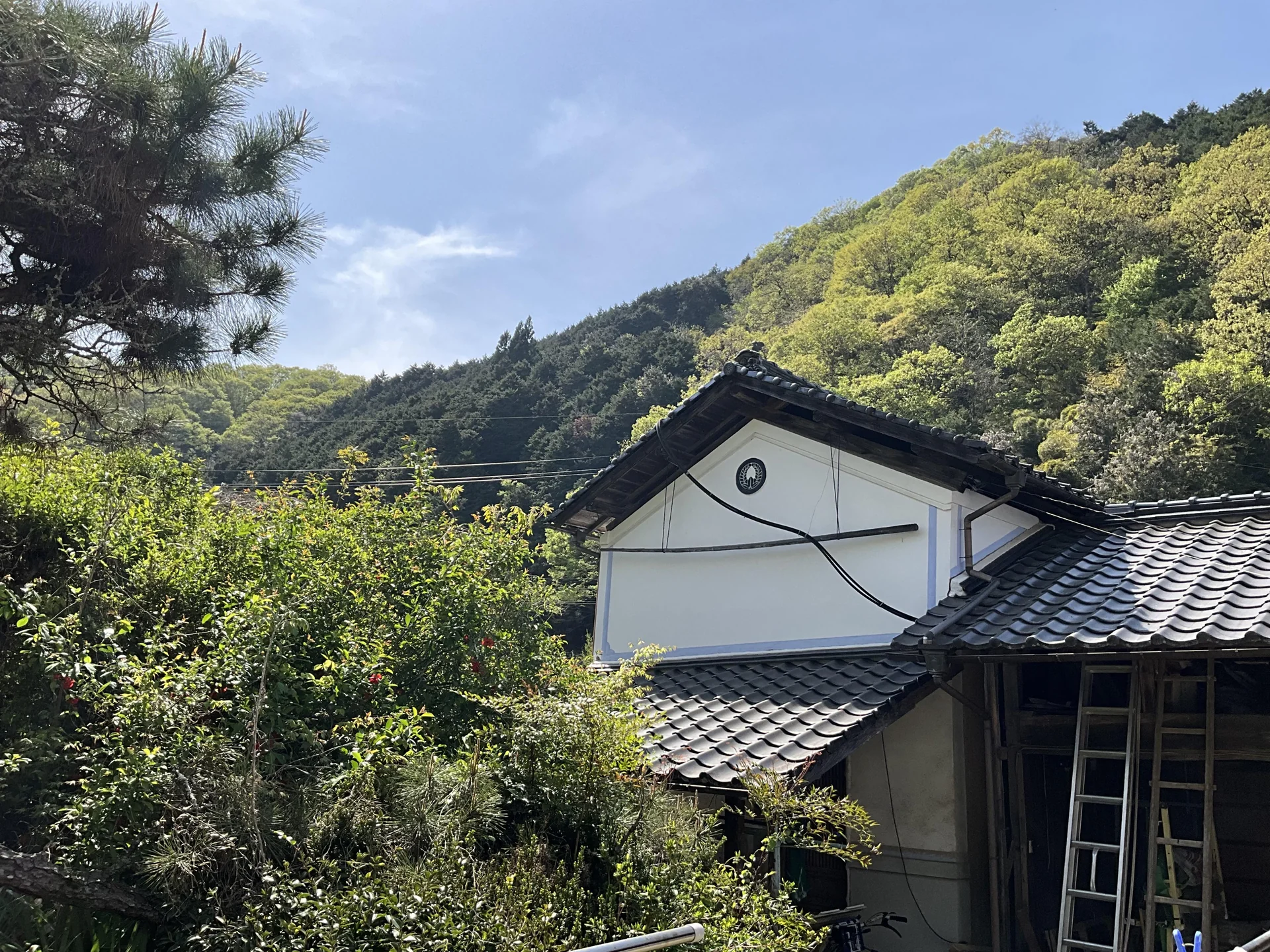 View 12