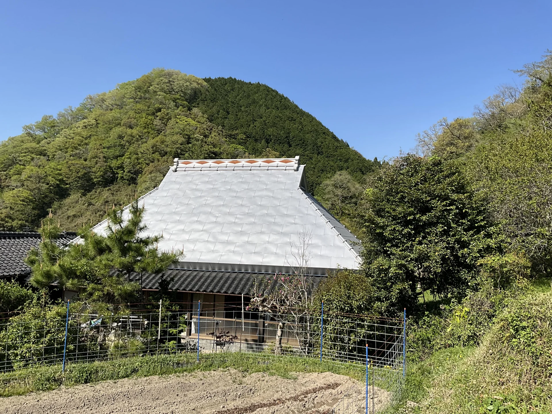 View 7