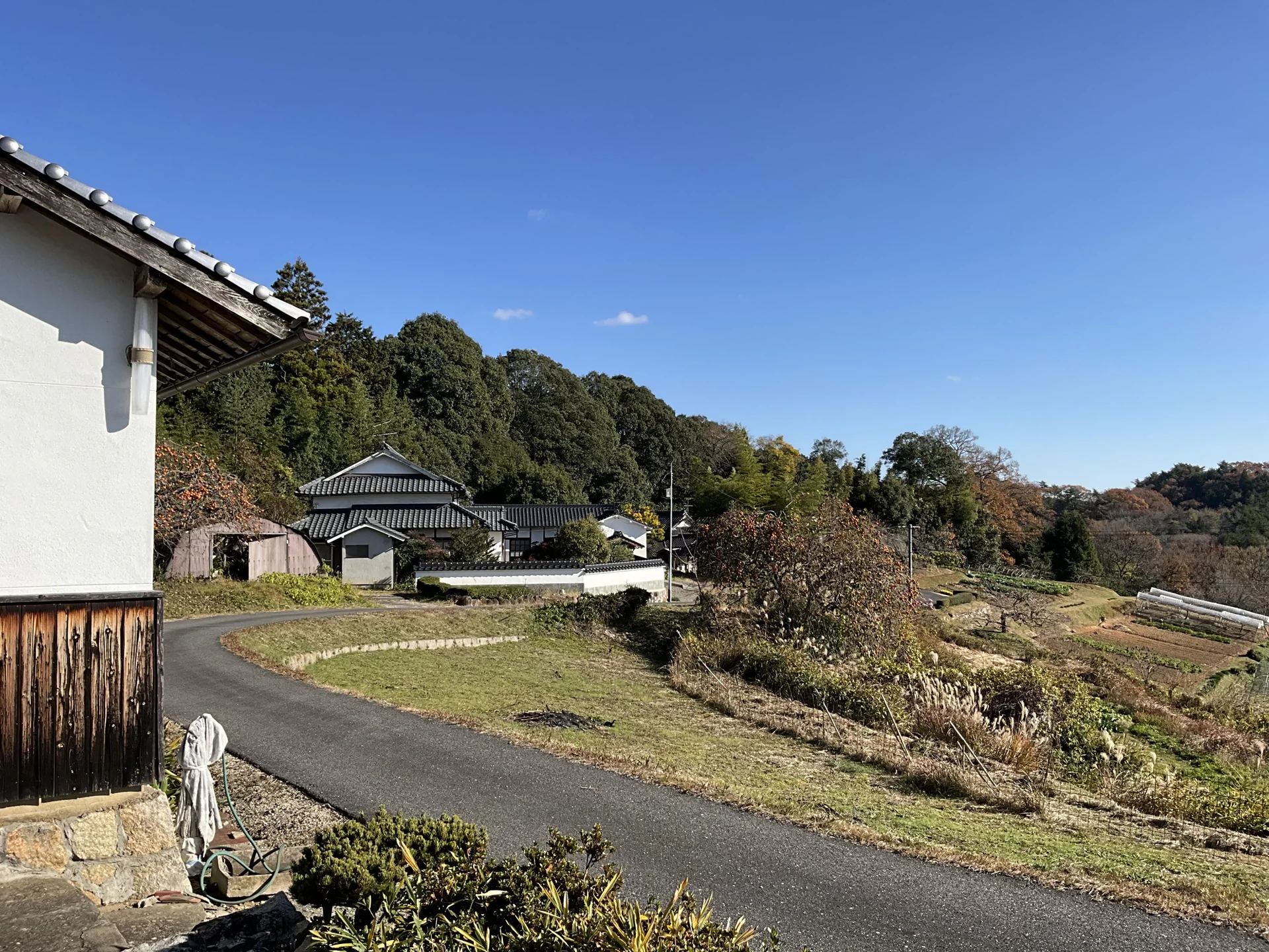 View 11