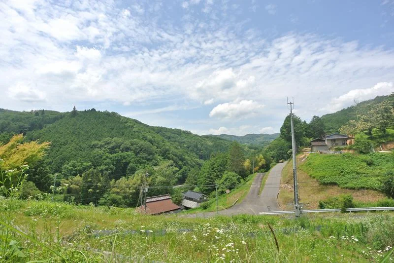 View 16