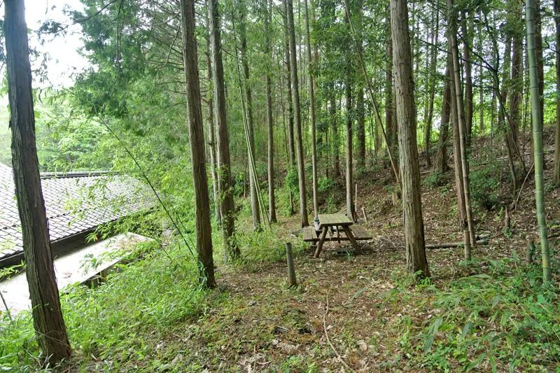 View 9