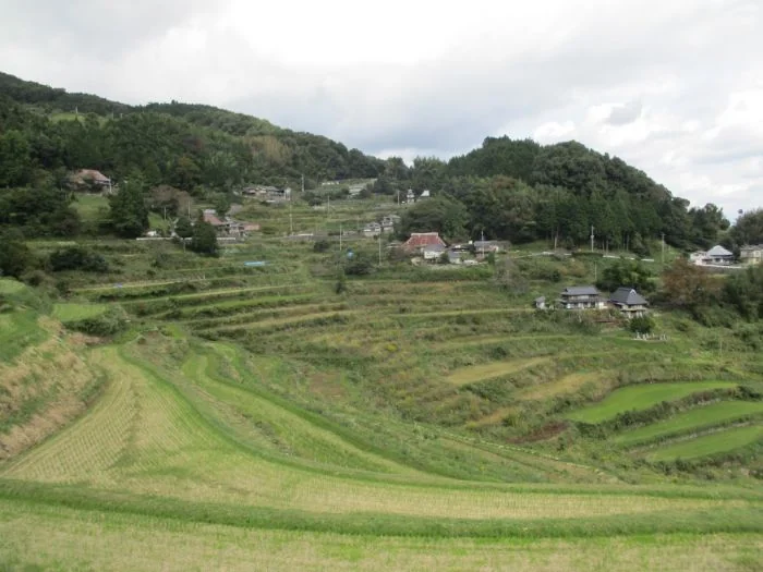 View 10