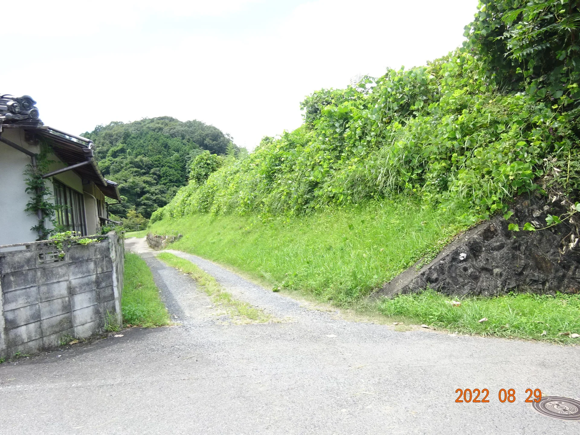 View 5