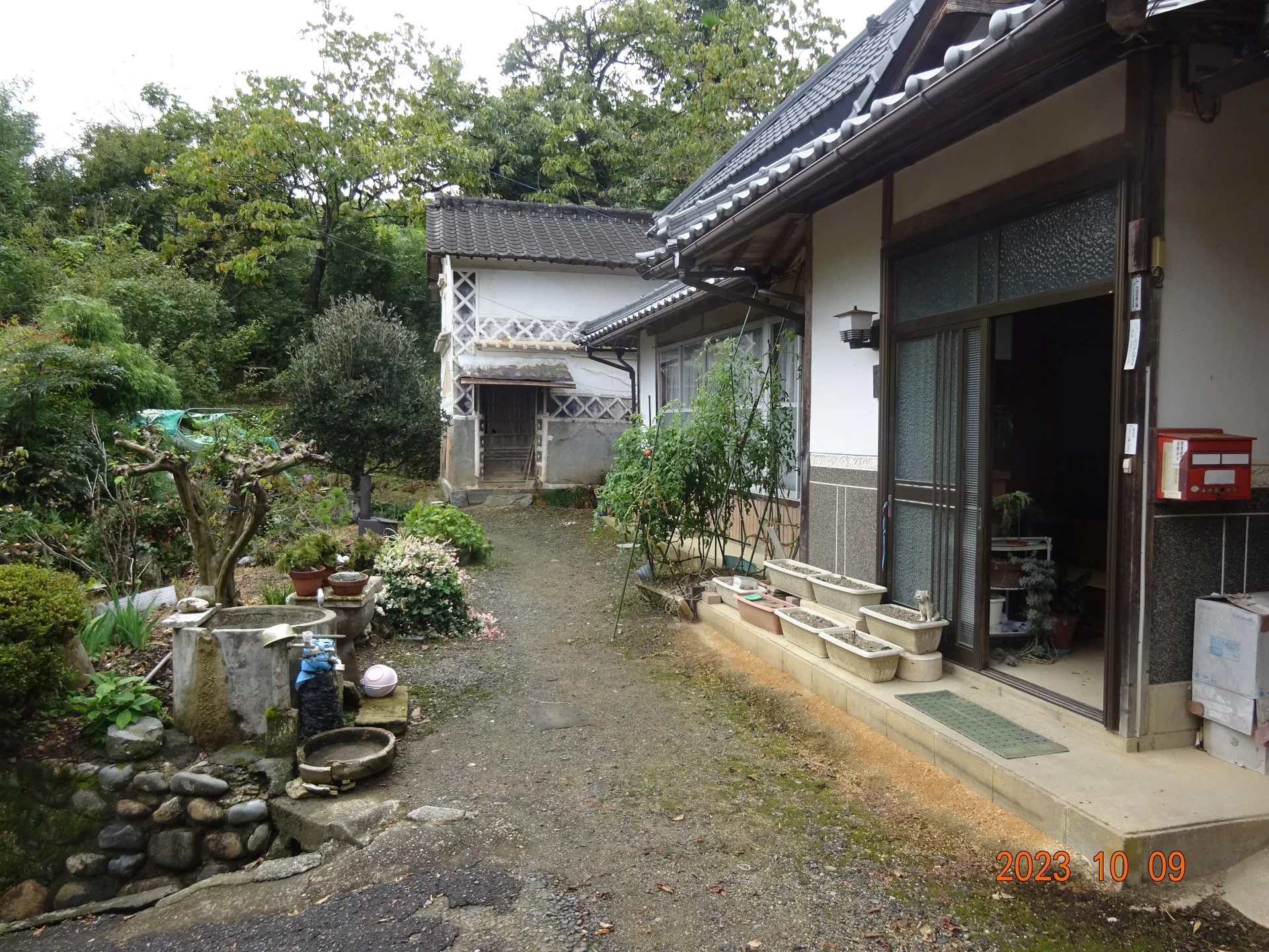View 4