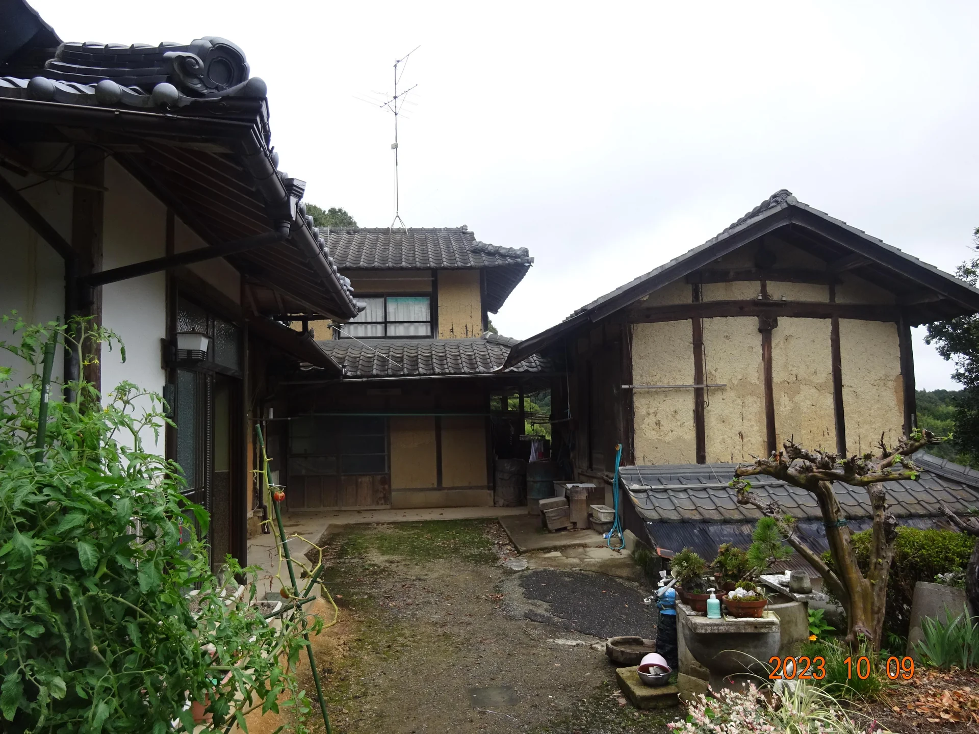 View 5