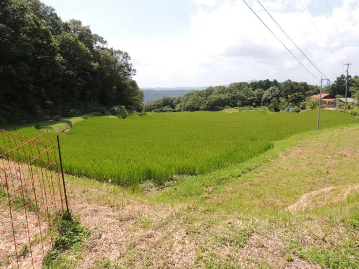View 7