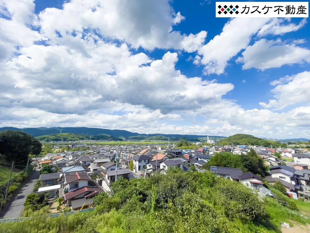 View 3