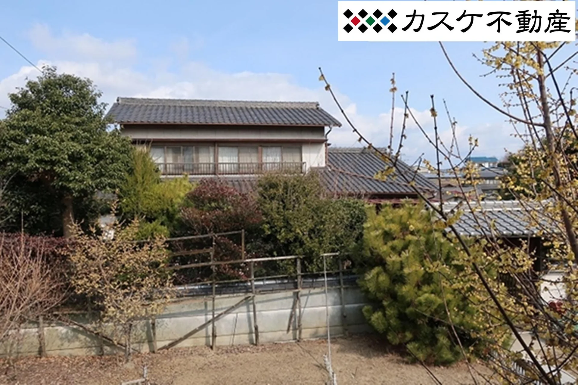 View 19