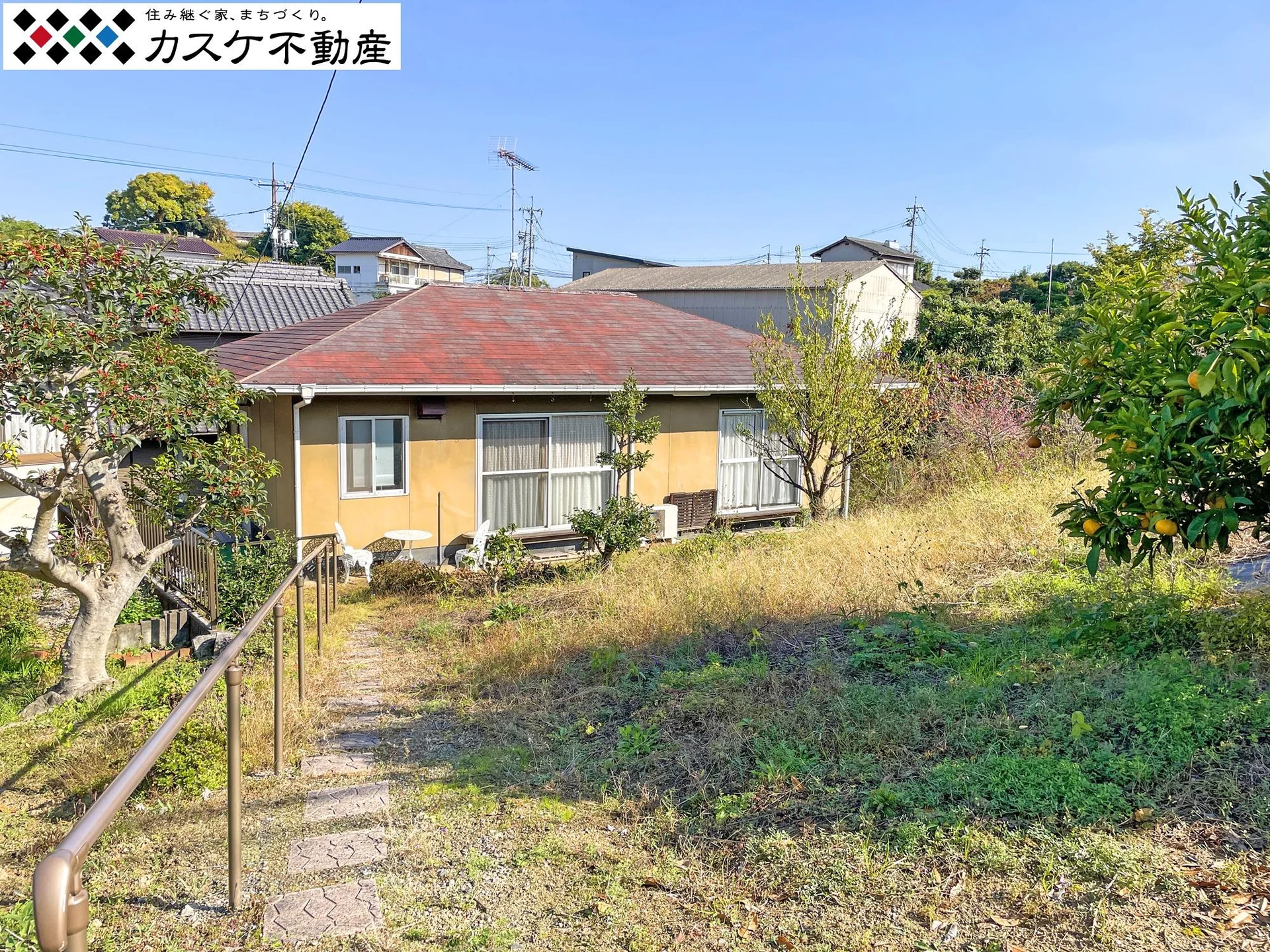 View 22