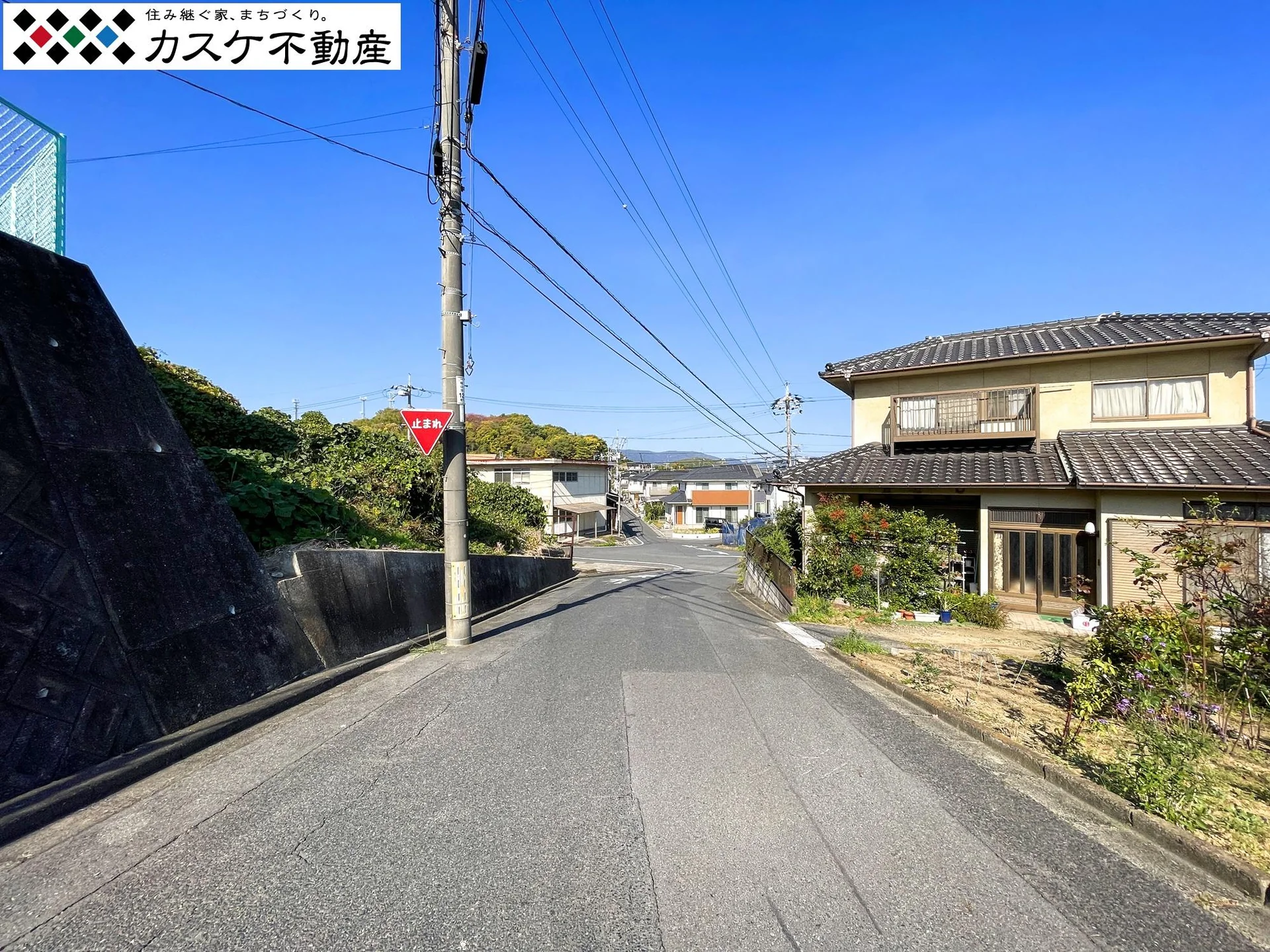 View 24