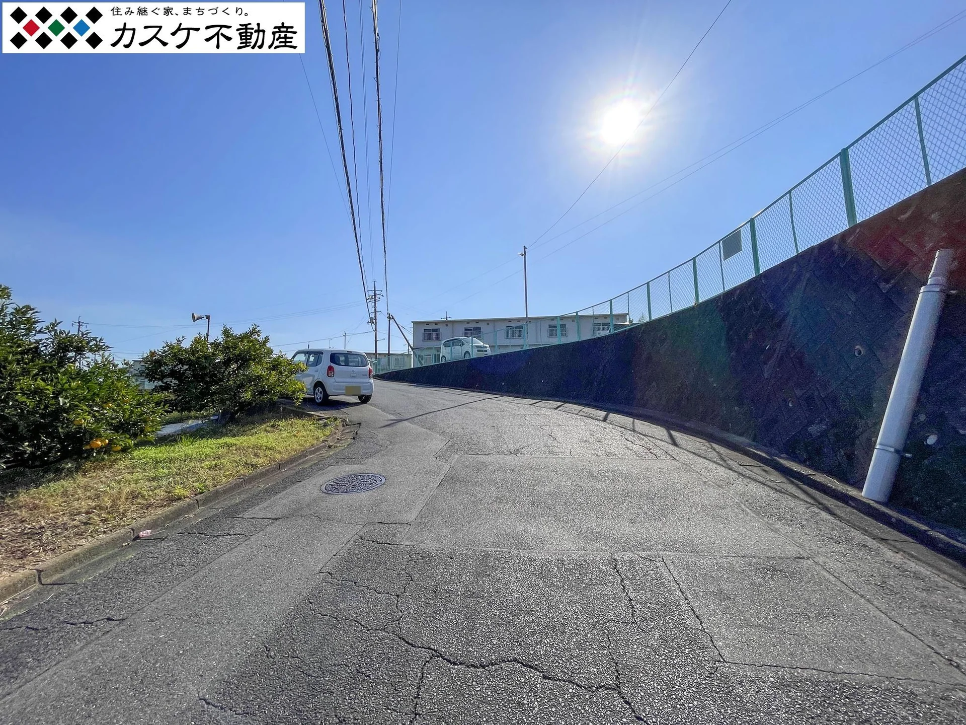 View 25
