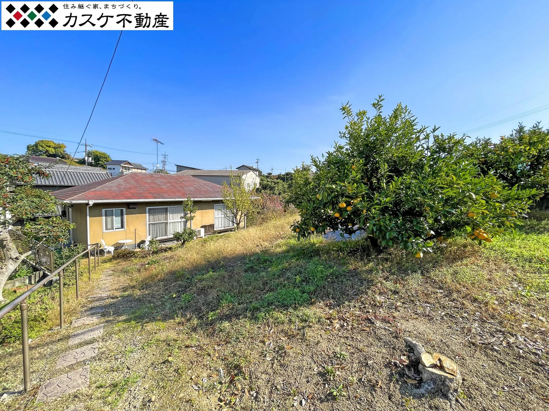 View 28