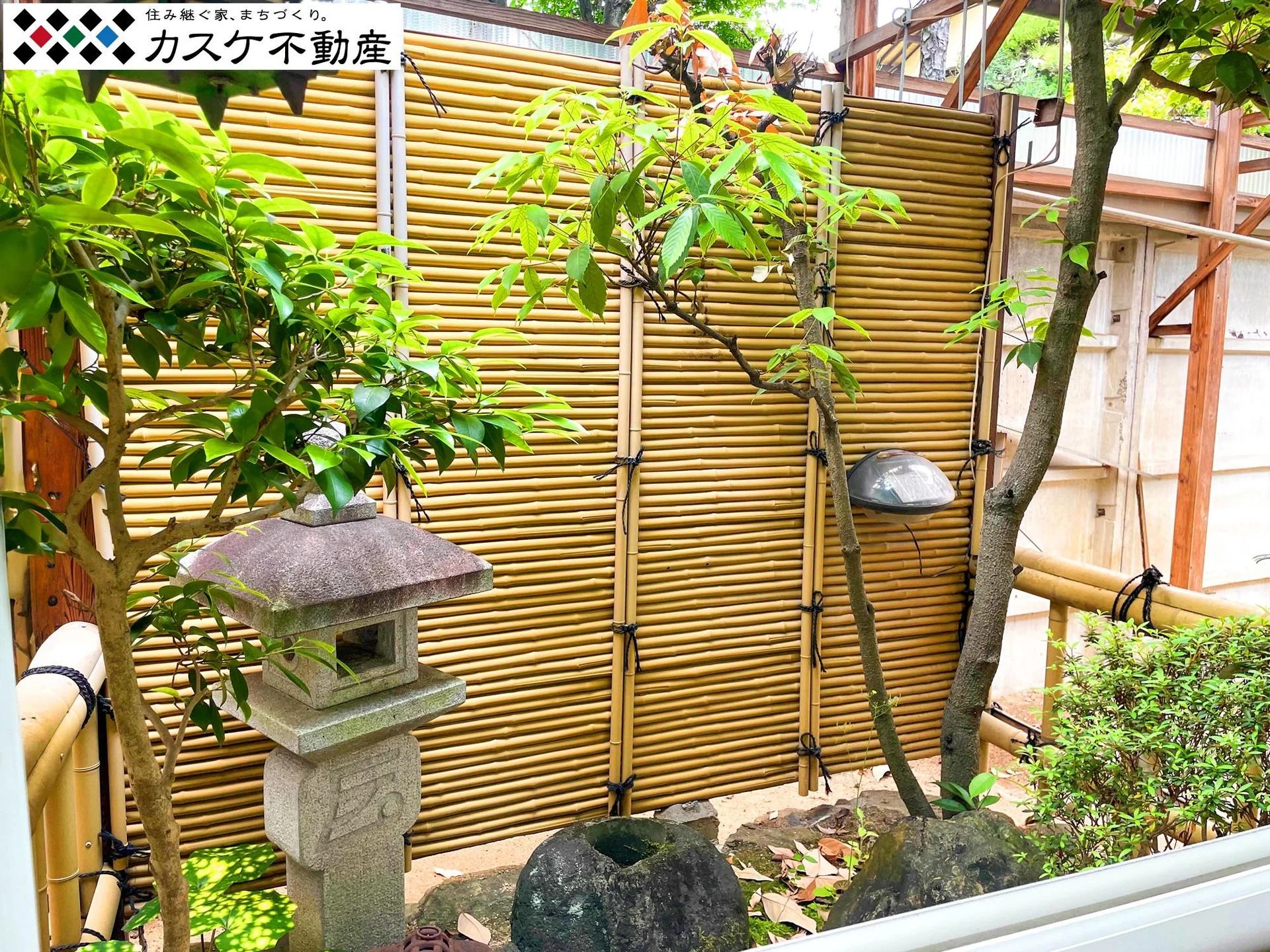 View 18