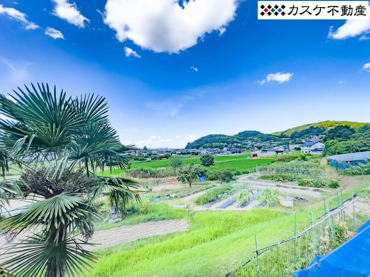 View 26