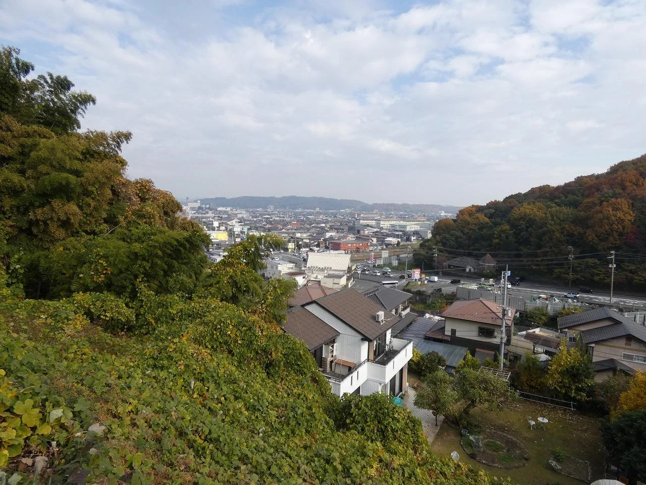 View 25