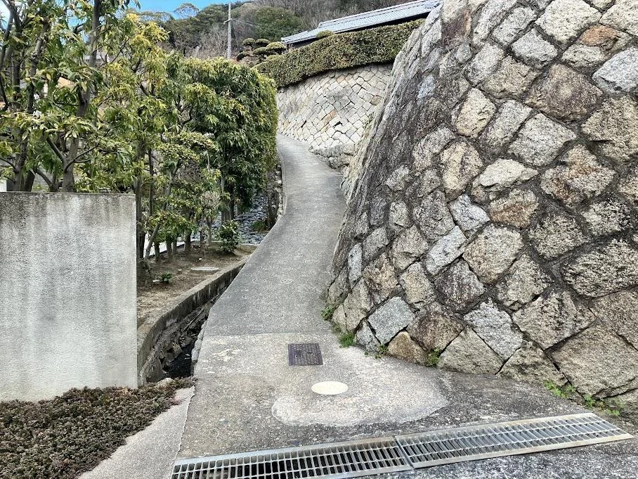 View 10