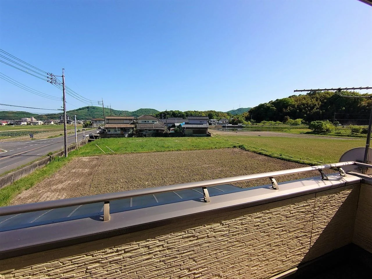View 15