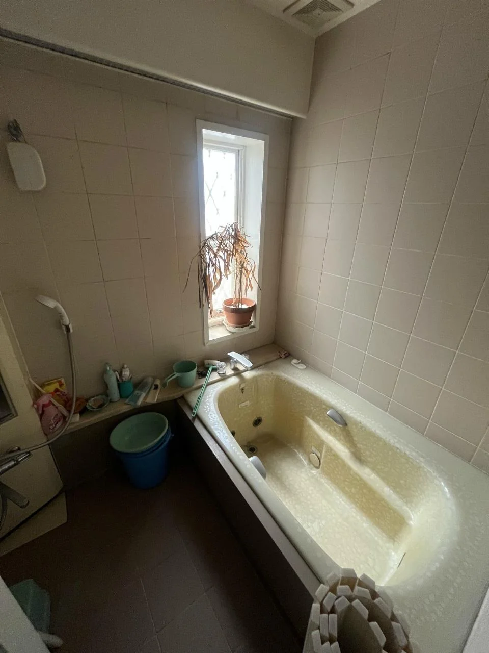 View 9