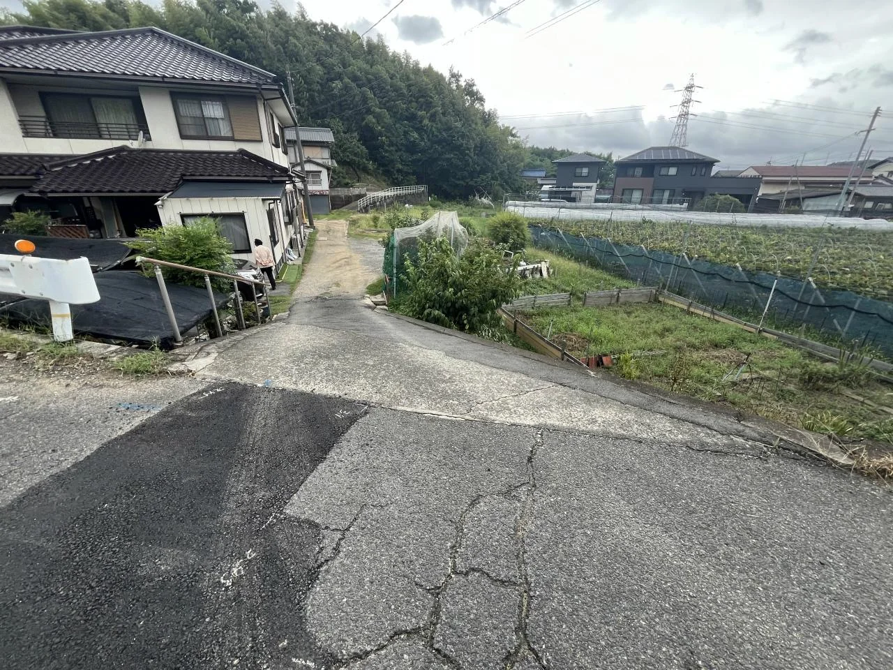 View 20