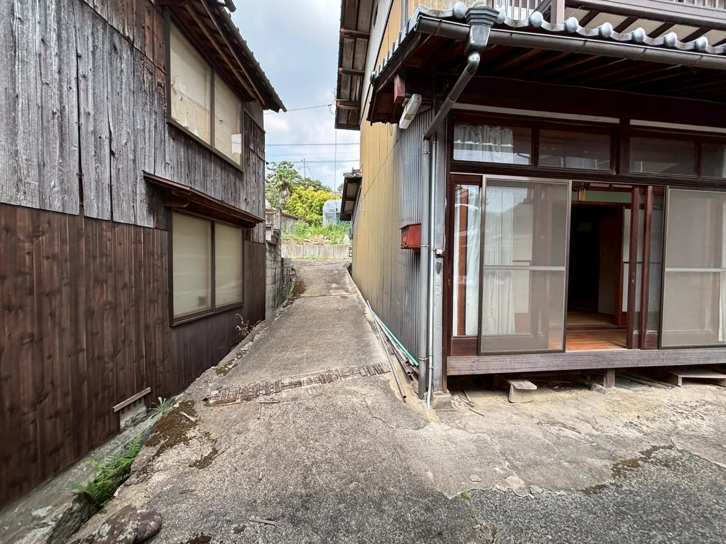 View 25