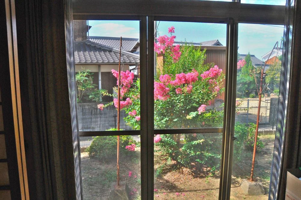 View 20