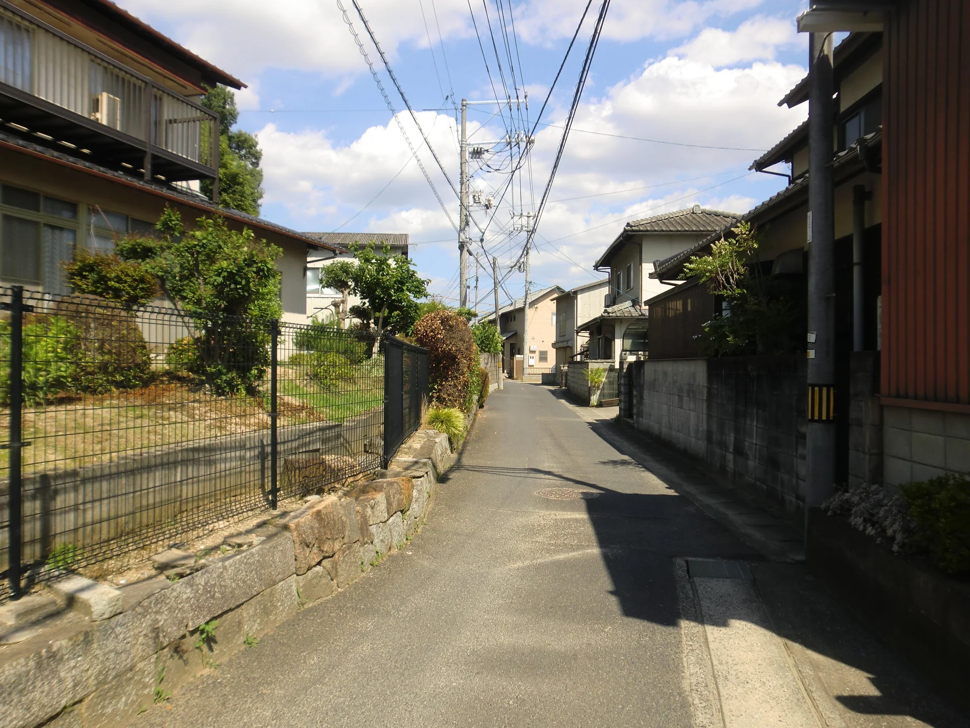 View 24