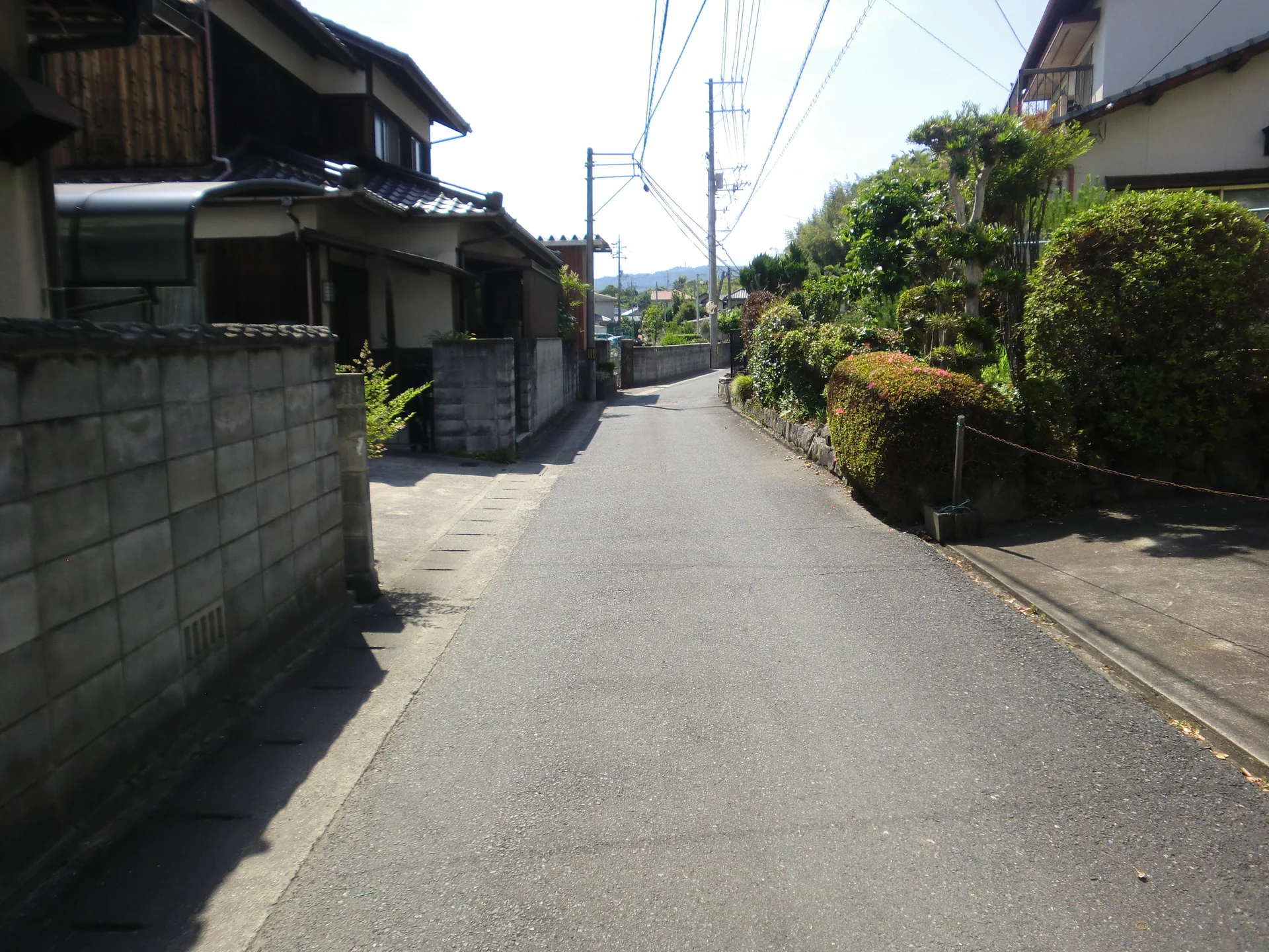 View 25